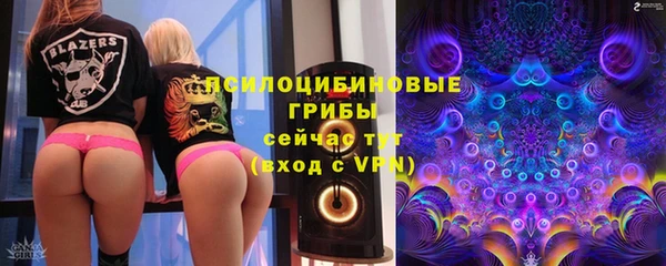 бутират Алзамай